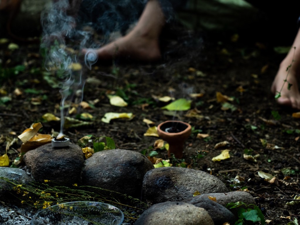Collegarsi alla Natura: La&nbsp;Selvatichezza