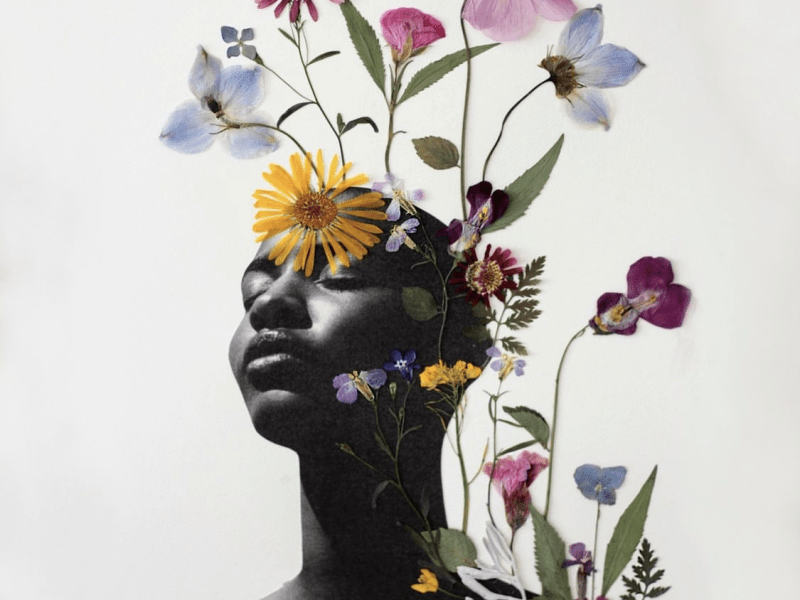 Le Piante, il Ritmo e il Riposo: Ritornare alla Terra per Smettere di Sfruttare noi&nbsp;stesse